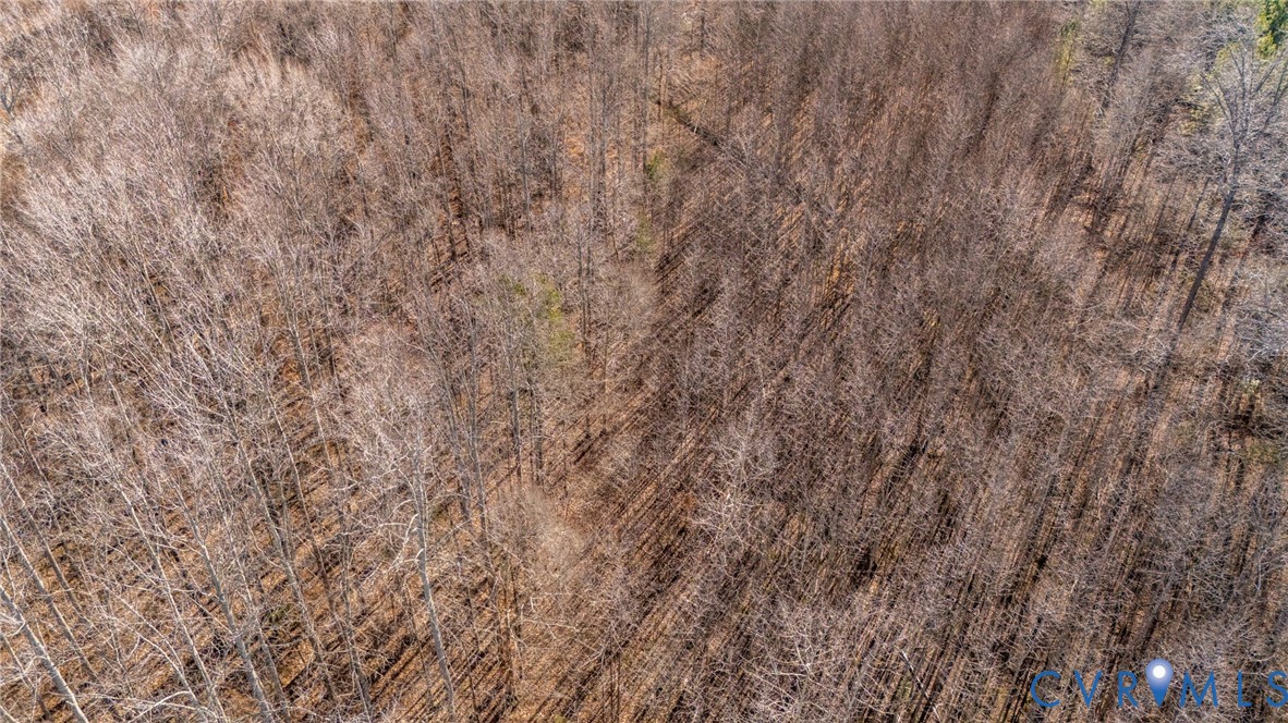 623 Worsham Road Powhatan, VA 23139 - Photo 5 of 13