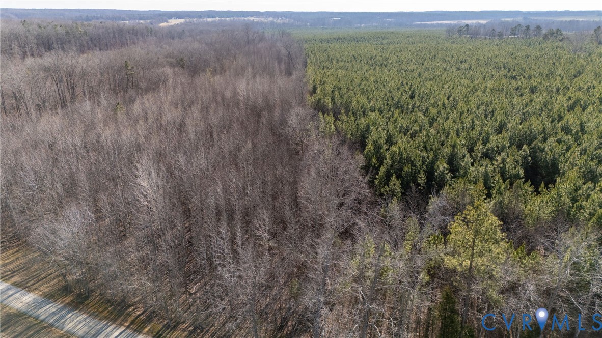 623 Worsham Road Powhatan, VA 23139 - Photo 7 of 13