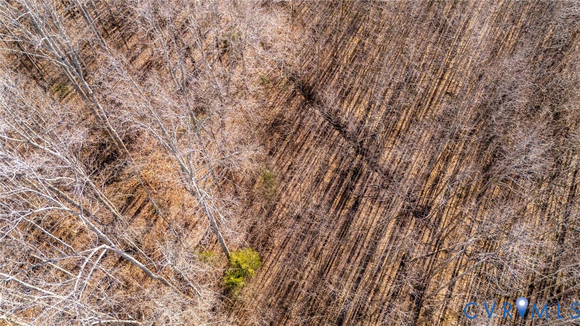 623 Worsham Road Powhatan, VA 23139 - Photo 8 of 13