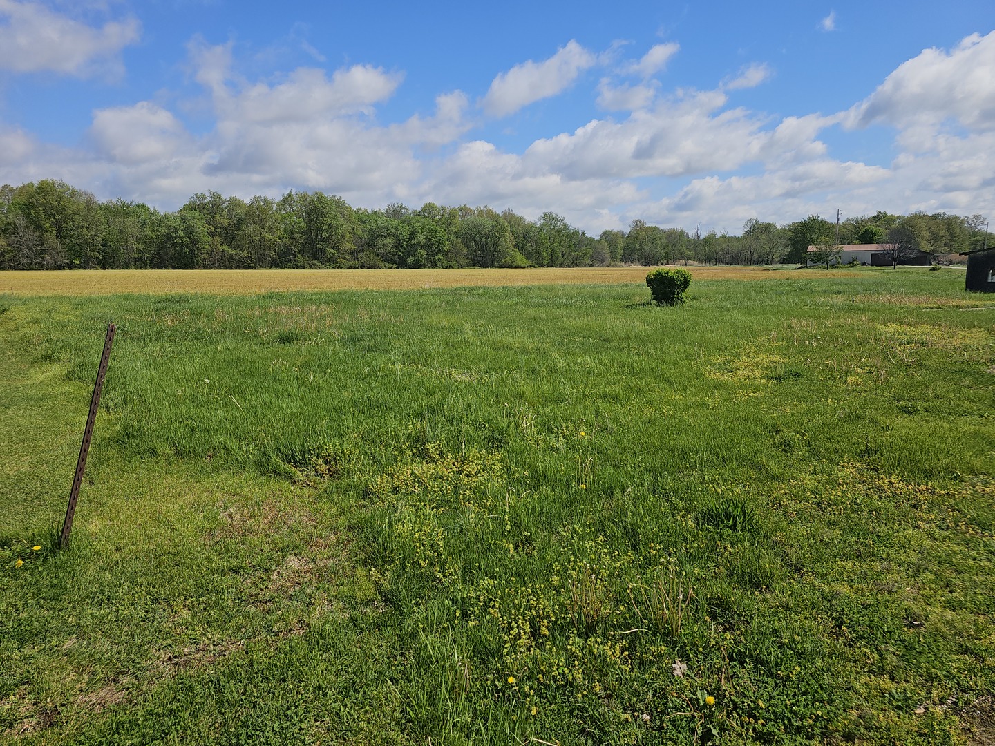 607 Filbert Street Odin, IL 62870 - Photo 15 of 24