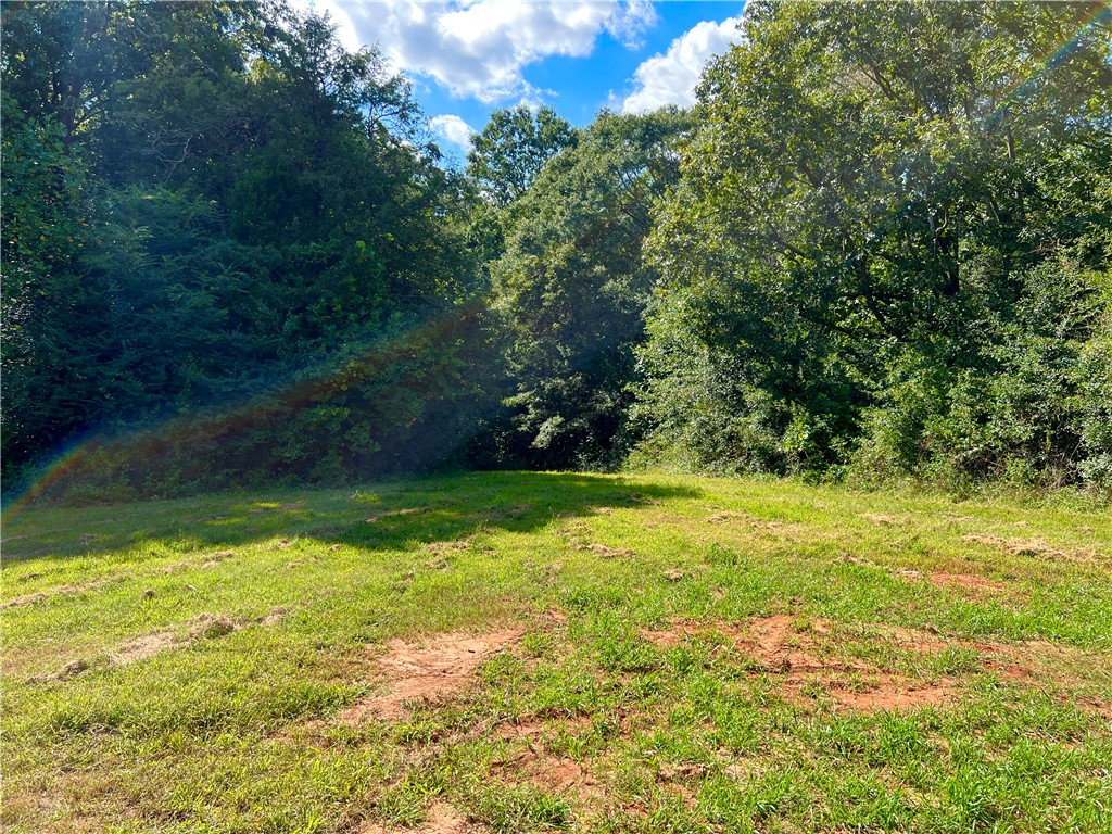 400 Zion School Road Easley, SC 29642 - Photo 19 of 23