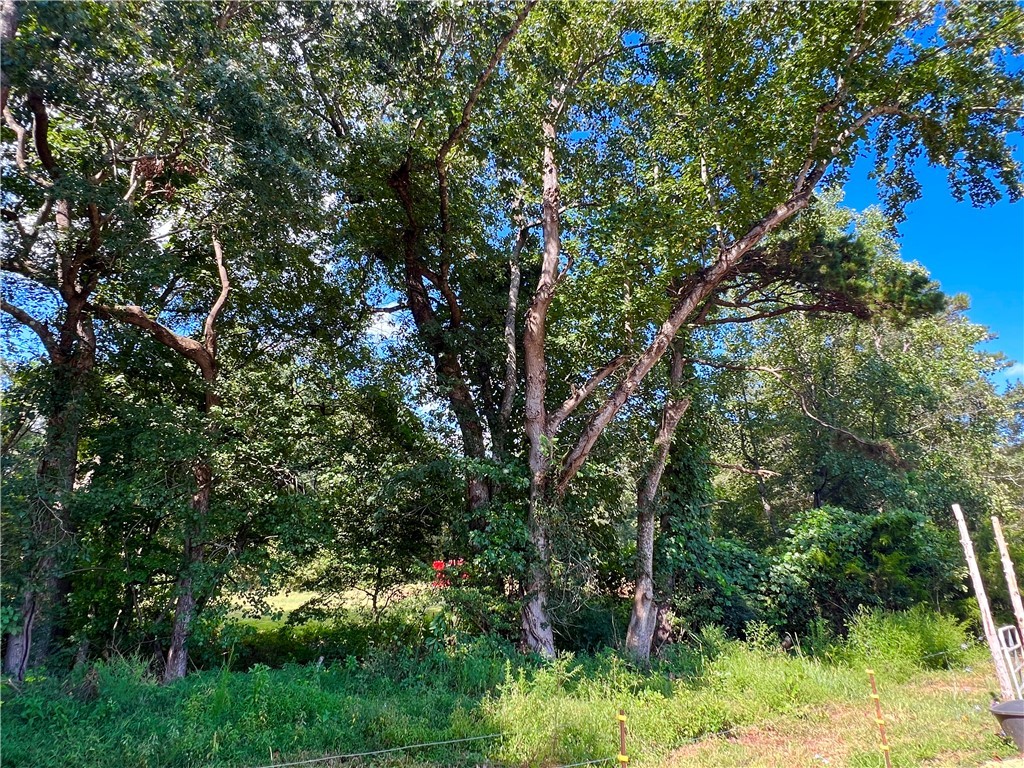 400 Zion School Road Easley, SC 29642 - Photo 6 of 23