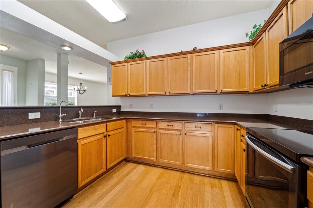 20941 Tangor Road Land O Lakes, FL 34637 - Photo 12 of 55