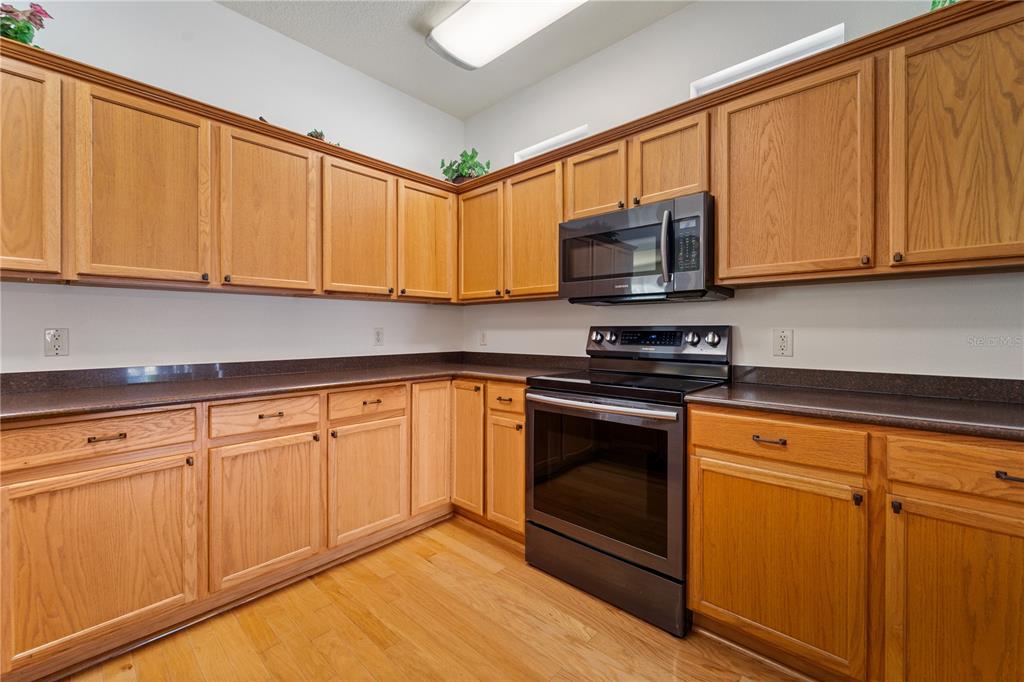 20941 Tangor Road Land O Lakes, FL 34637 - Photo 13 of 55