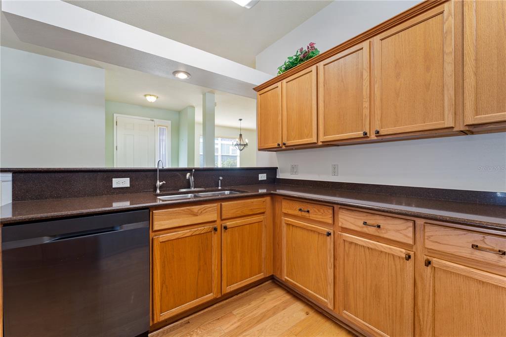 20941 Tangor Road Land O Lakes, FL 34637 - Photo 15 of 55