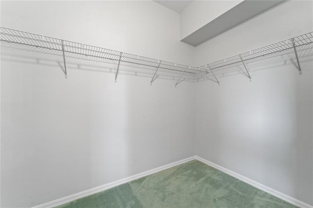 20941 Tangor Road Land O Lakes, FL 34637 - Photo 22 of 55