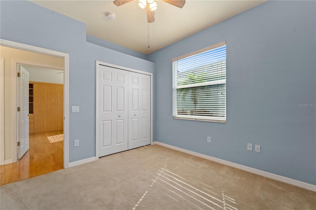 20941 Tangor Road Land O Lakes, FL 34637 - Photo 23 of 55