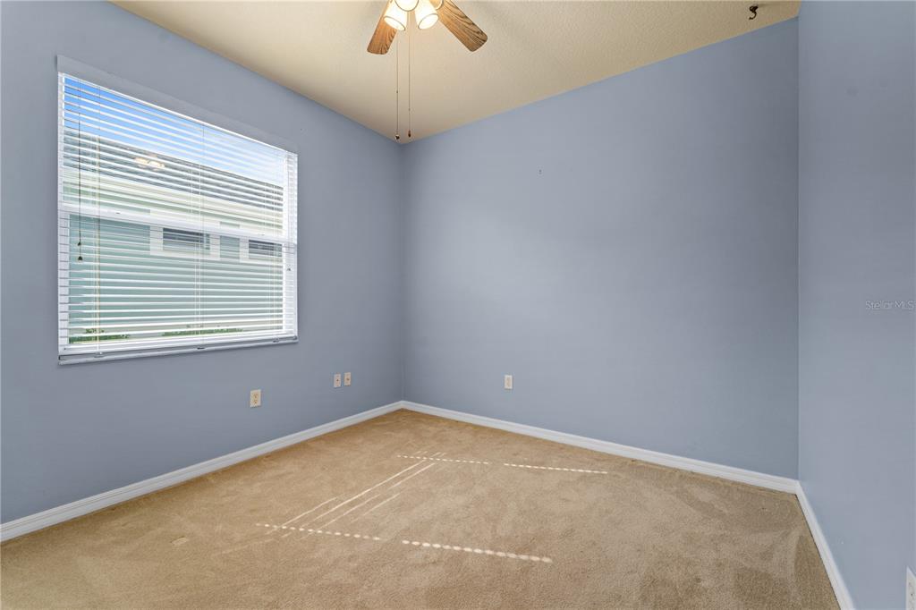 20941 Tangor Road Land O Lakes, FL 34637 - Photo 24 of 55