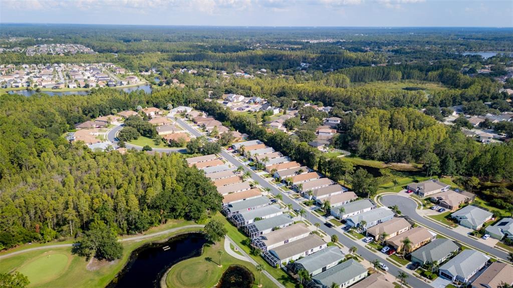 20941 Tangor Road Land O Lakes, FL 34637 - Photo 41 of 55