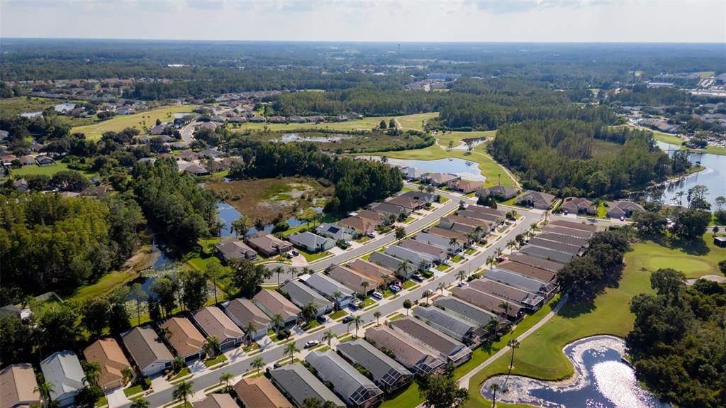 20941 Tangor Road Land O Lakes, FL 34637 - Photo 42 of 55