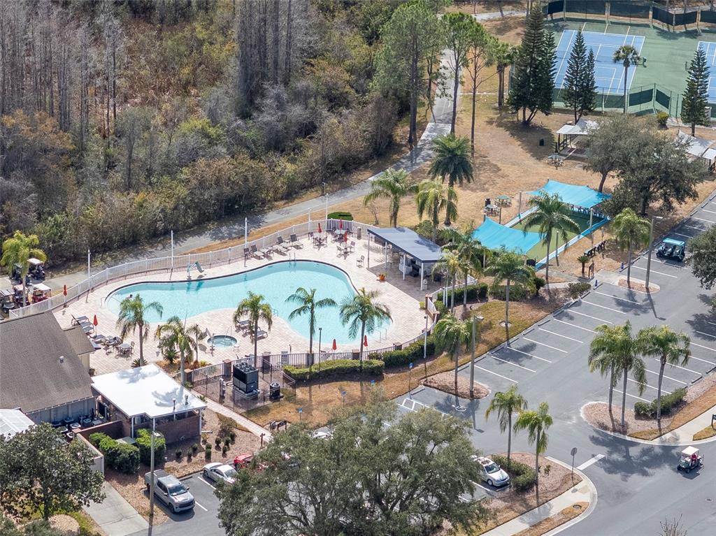 20941 Tangor Road Land O Lakes, FL 34637 - Photo 45 of 55