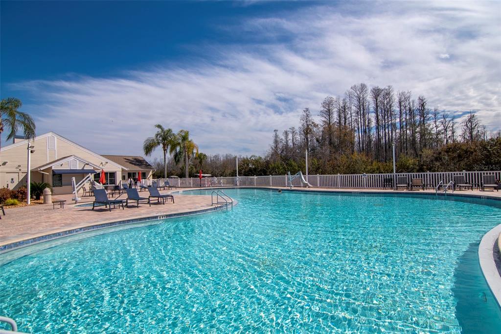 20941 Tangor Road Land O Lakes, FL 34637 - Photo 46 of 55