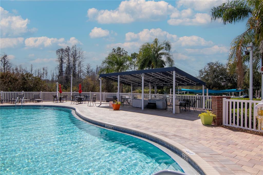 20941 Tangor Road Land O Lakes, FL 34637 - Photo 48 of 55