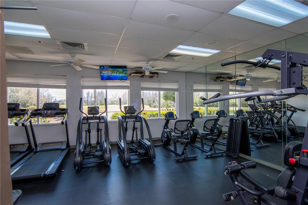 20941 Tangor Road Land O Lakes, FL 34637 - Photo 50 of 55