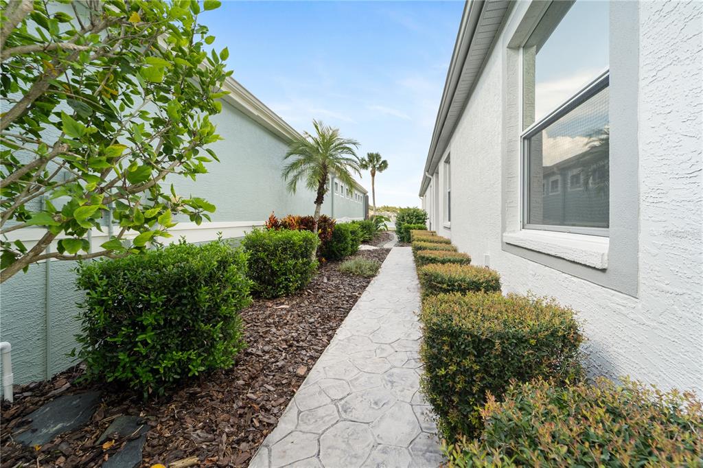 20941 Tangor Road Land O Lakes, FL 34637 - Photo 5 of 55