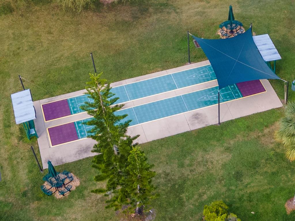 20941 Tangor Road Land O Lakes, FL 34637 - Photo 52 of 55