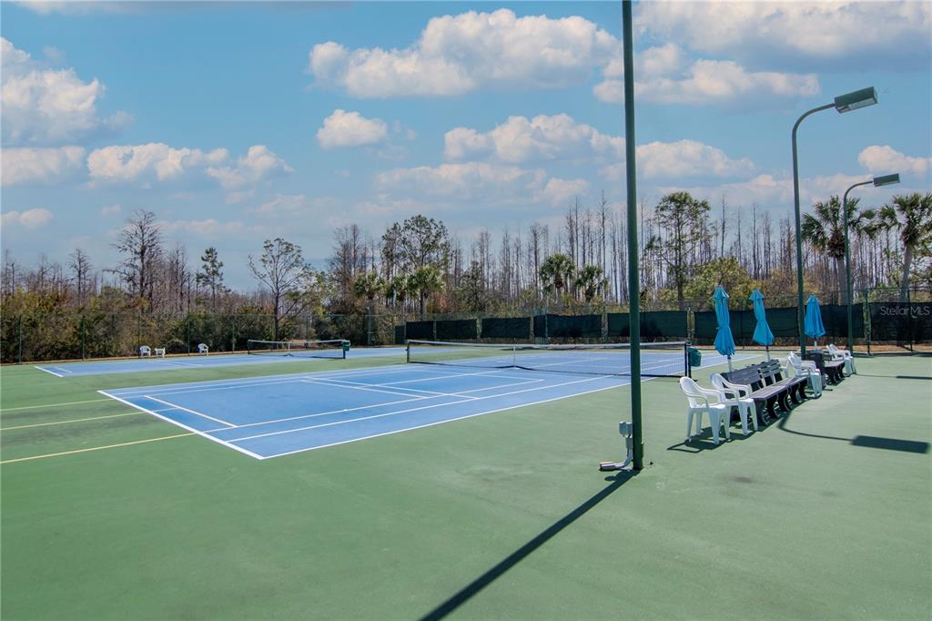 20941 Tangor Road Land O Lakes, FL 34637 - Photo 53 of 55