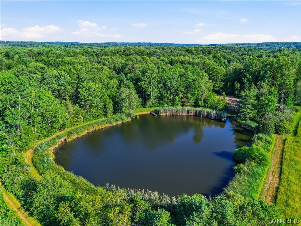 565 Schad Road Bennington, NY 14004 - Photo 47 of 50