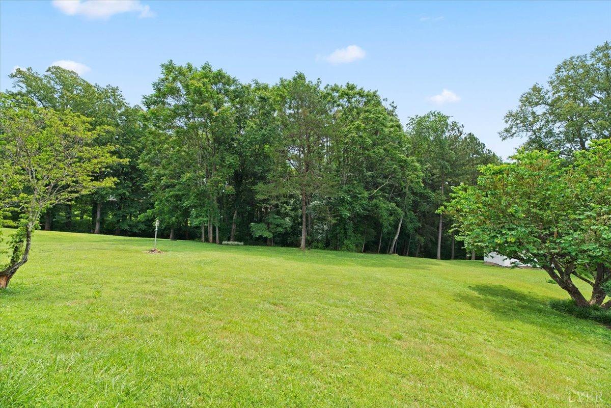 171 Maple Lane Amherst, VA 24521 - Photo 54 of 54 Gallery Image 54