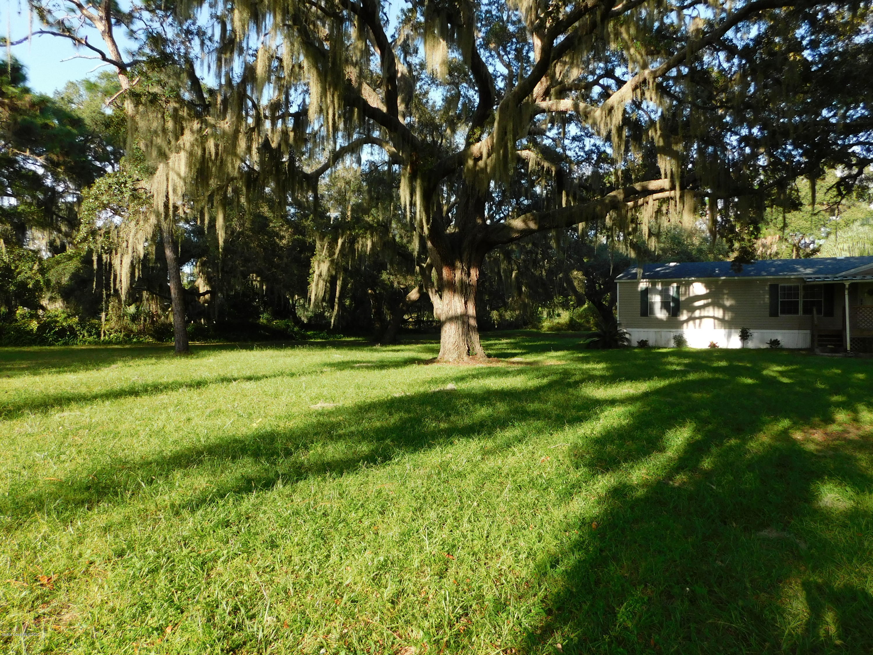 4355 Hog Valley Road Mims, FL 32754 - Photo 5 of 31 Front Yard 2