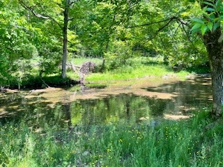 110 Wade Reed Road White Bluff, TN 37187 - Photo 66 of 80