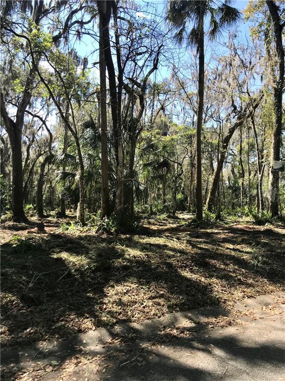 305 Apache Trail Brandon, FL 33511 - Photo 1 of 1 a view of a tree in the middle of a yard