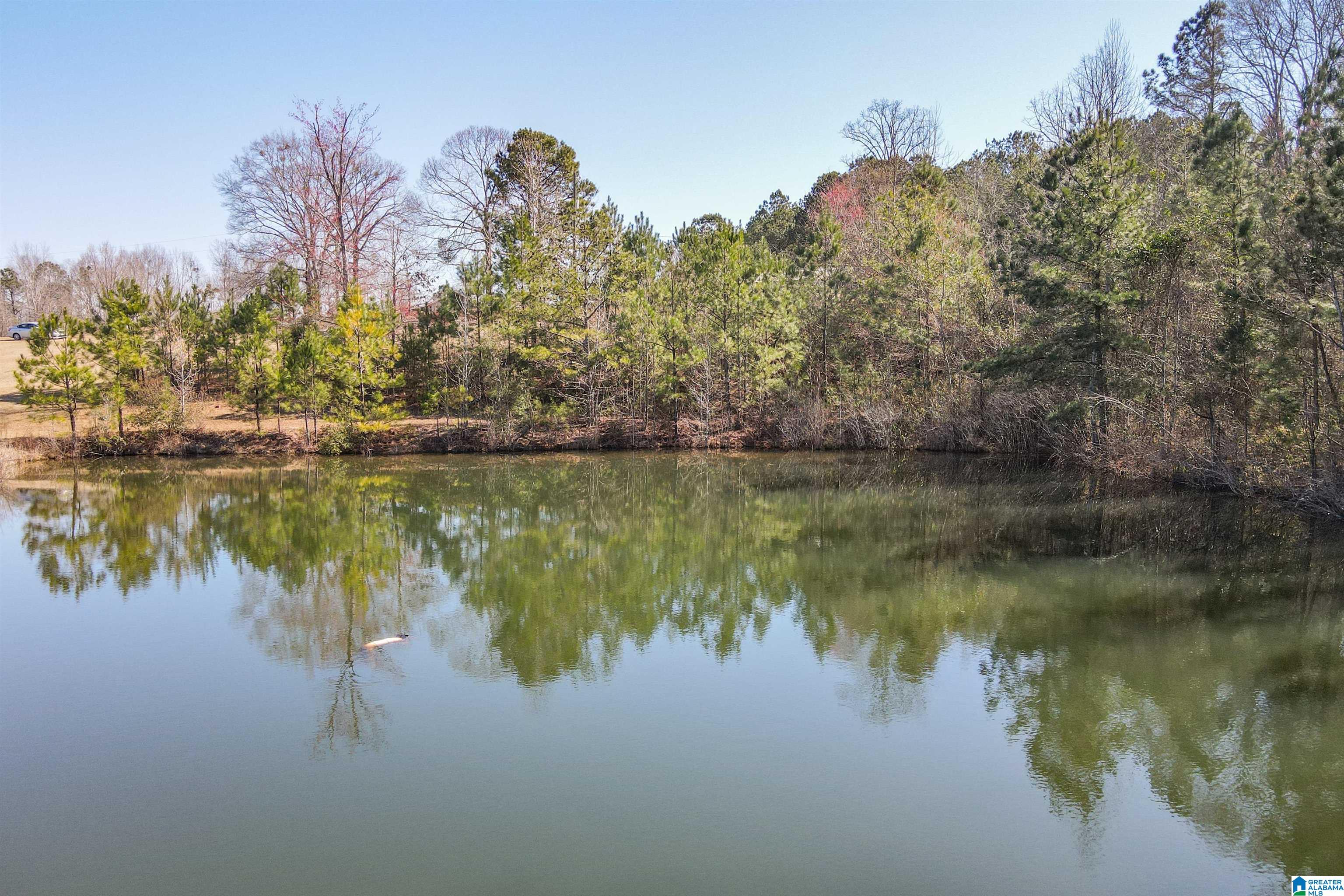 3631 County Road 69 Clanton, AL 35045 - Photo 12 of 50
