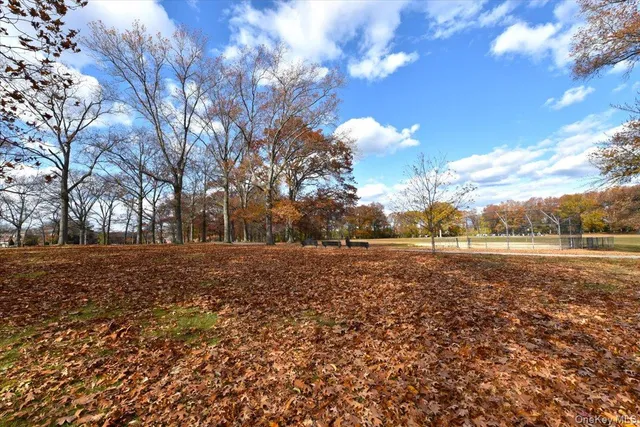 a view of a field with large trees