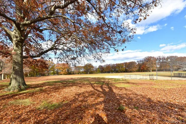 a view of an ocean and beach