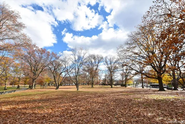 a big yard with trees