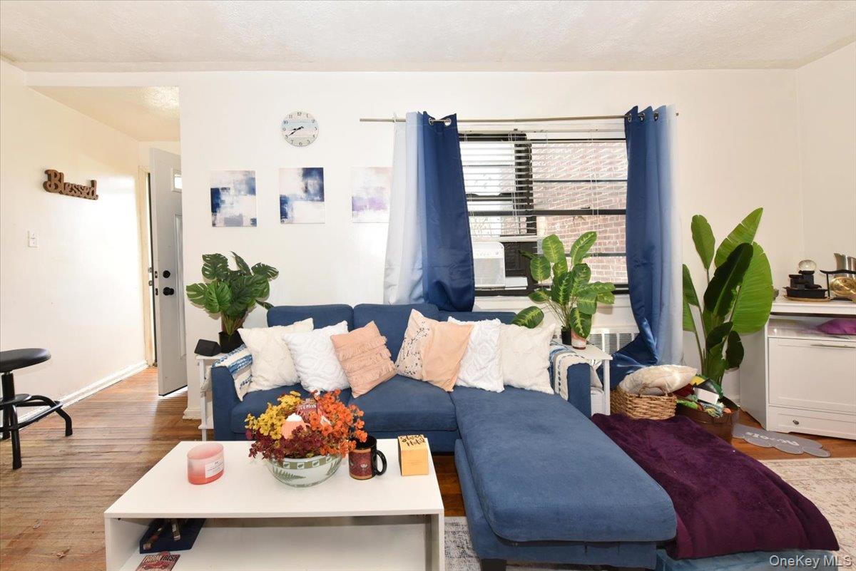 75-40 Springfield Boulevard, Unit 1 Queens, NY 11364 - Photo 4 of 18 a living room with furniture and a potted plant