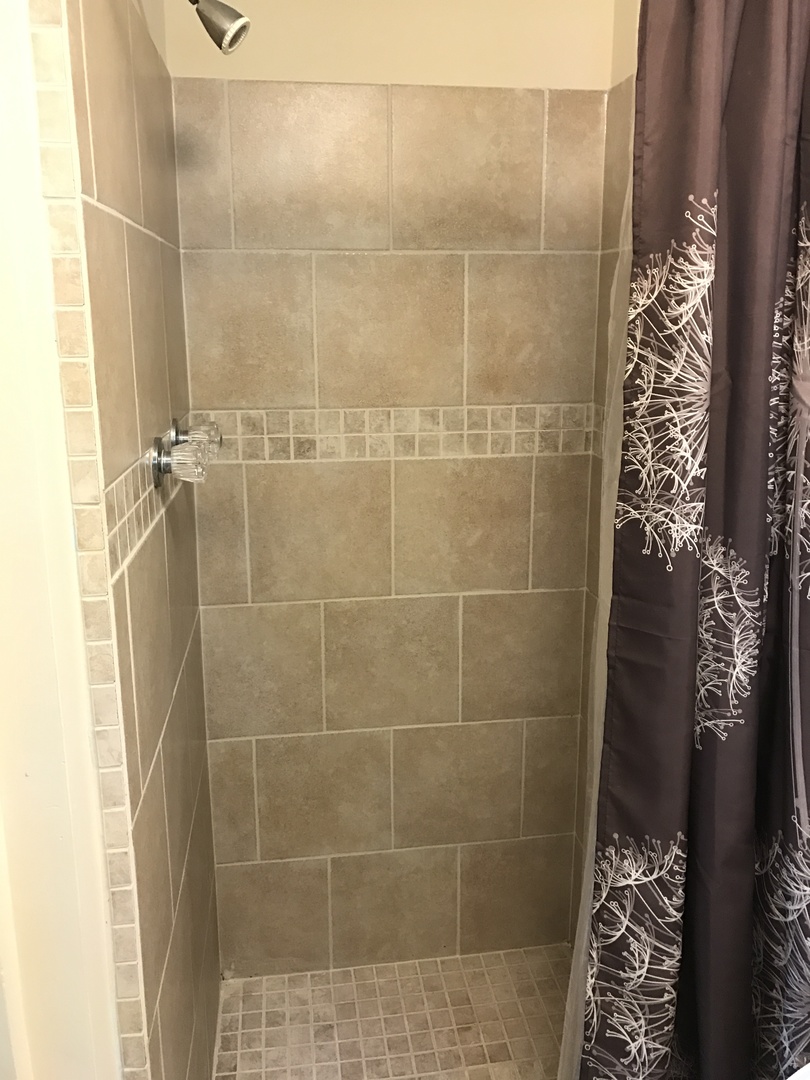 819 Price Street Morris, IL 60450 - Photo 6 of 10 a bathroom with a shower