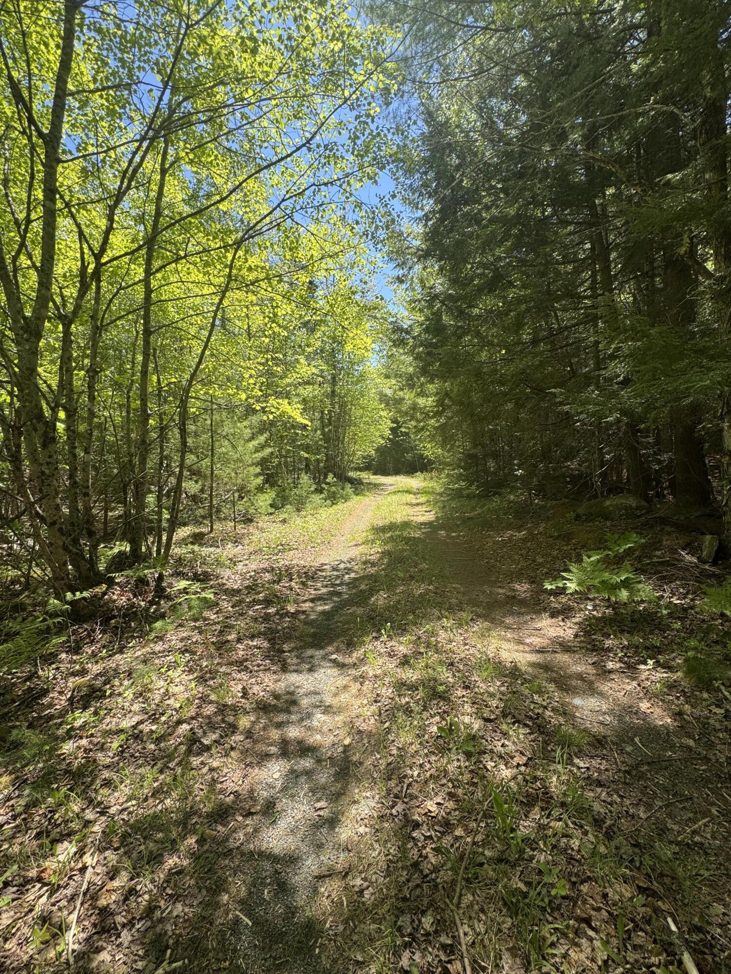 Lot# Bucksmills Road Bucksport, ME 04416 - Photo 12 of 15 IMG_3876
