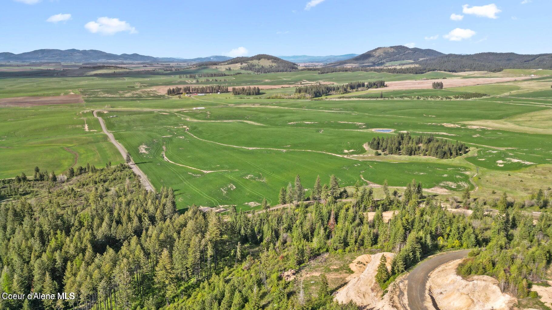 Lot 1 Lone Moose Drive Plummer, ID 83851 - Photo 1 of 7 20250421232627299845000000-o