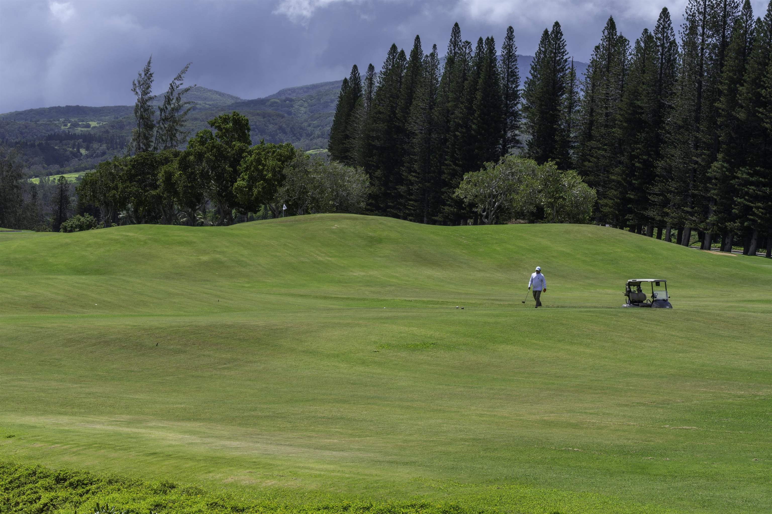 100 Ridge Road, Unit 232324 Lahaina, HI 96761 - Photo 42 of 50 a view of a golf course