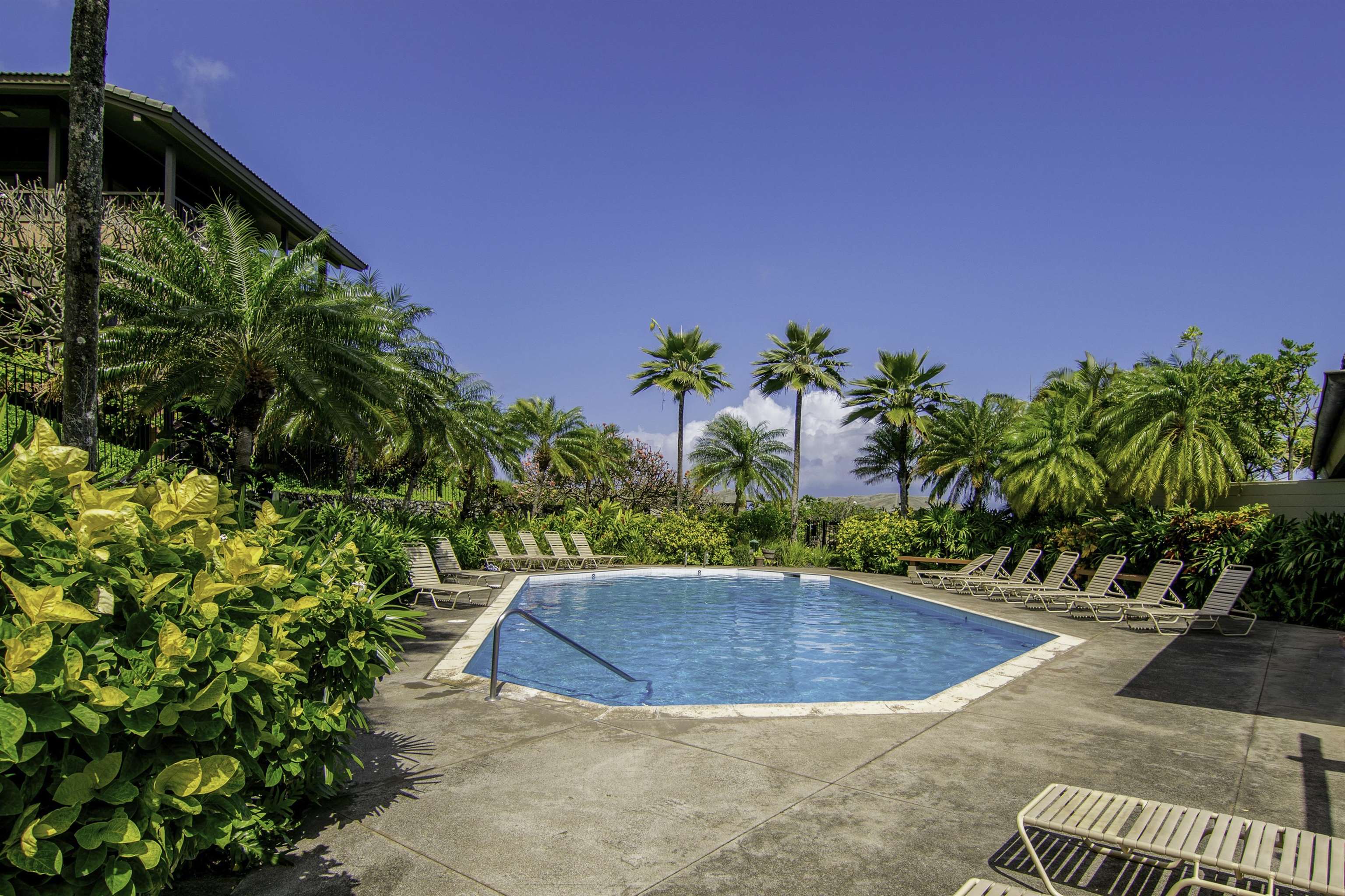 100 Ridge Road, Unit 232324 Lahaina, HI 96761 - Photo 48 of 50 a view of a swimming pool with a potted plants