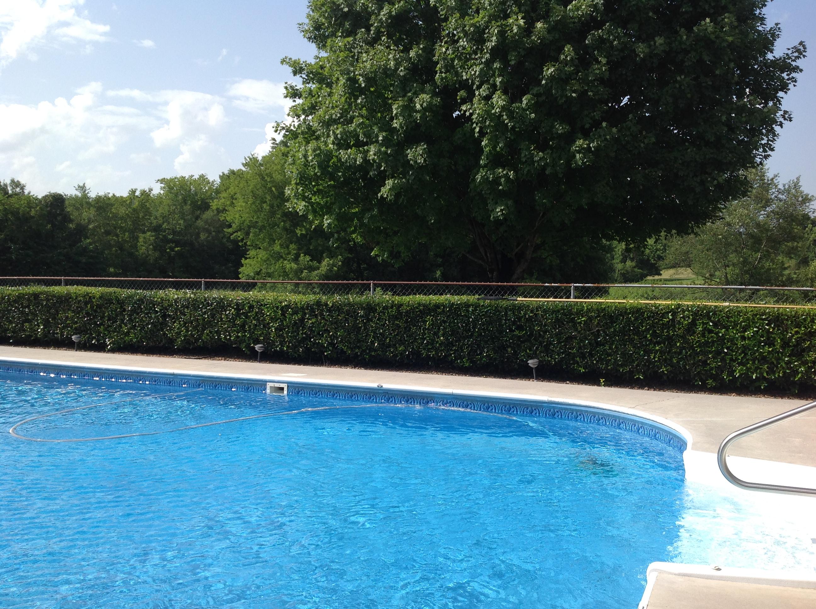 2363 Dry Valley Road Northeast Charleston, TN 37310 - Photo 27 of 41 31