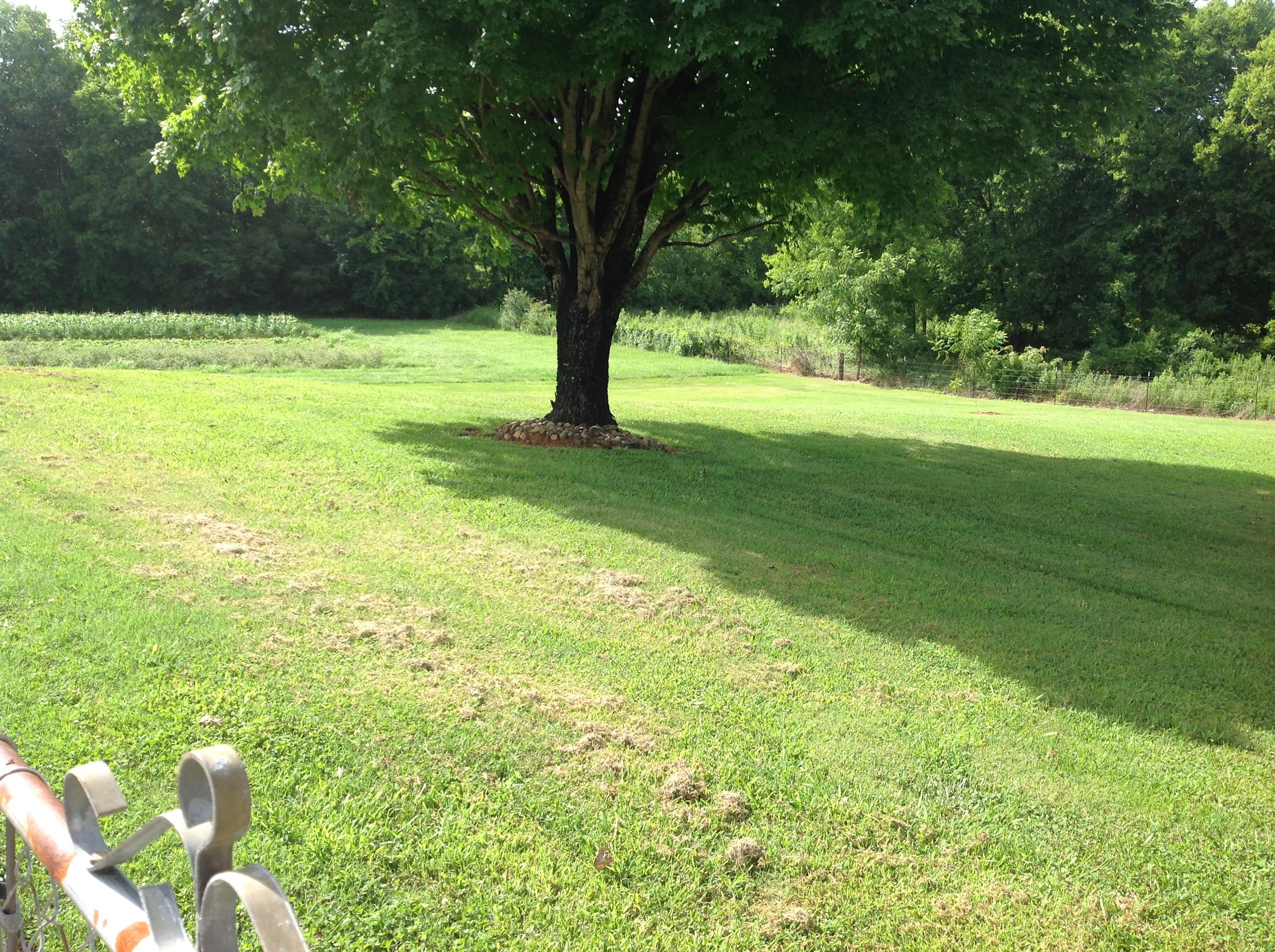 2363 Dry Valley Road Northeast Charleston, TN 37310 - Photo 37 of 41 32