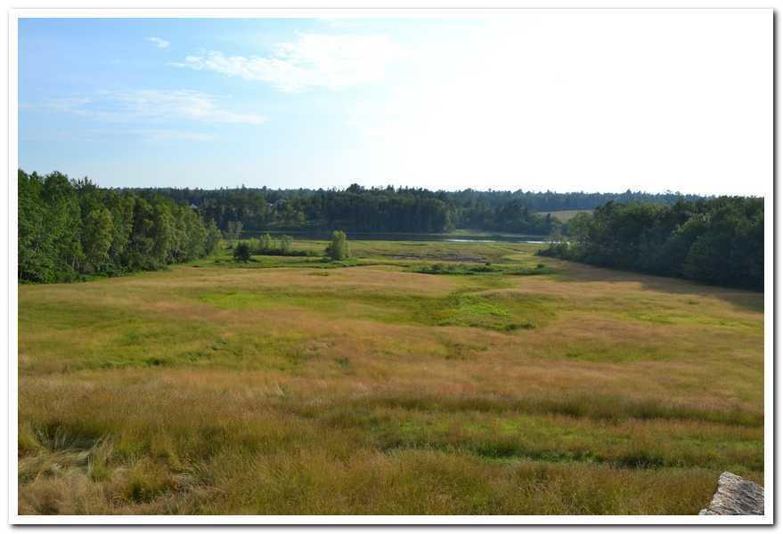 400 Kansas Road Milbridge, ME 04658 - Photo 25 of 32 download (15)