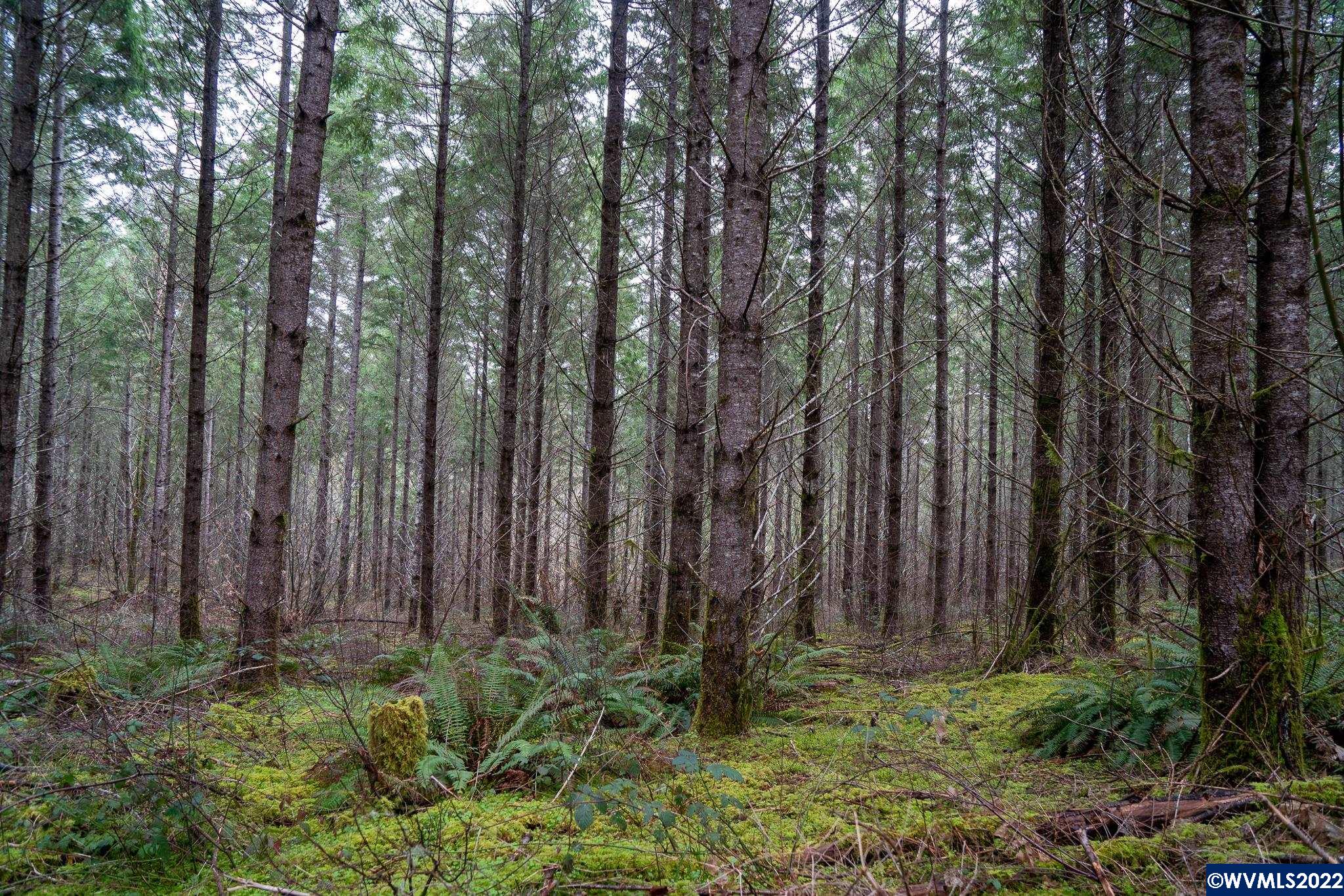 Na Green Peak Road Monroe, OR 97456 - Photo 8 of 26 Gallery Image 8