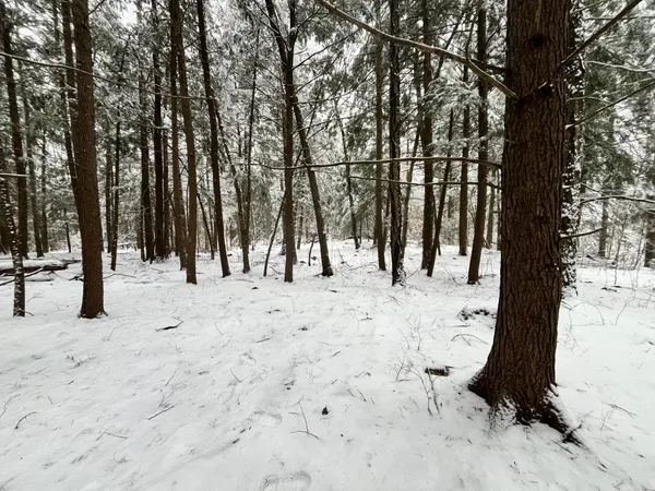 $219,000 | 199 Bryant Road, Jaffrey, NH 03452