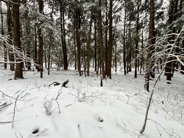 $219,000 | 199 Bryant Road, Jaffrey, NH 03452