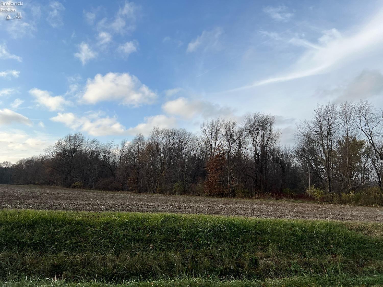 0 Ridge Road North Norwalk, OH 44857 - Photo 3 of 22 Gallery Image 3