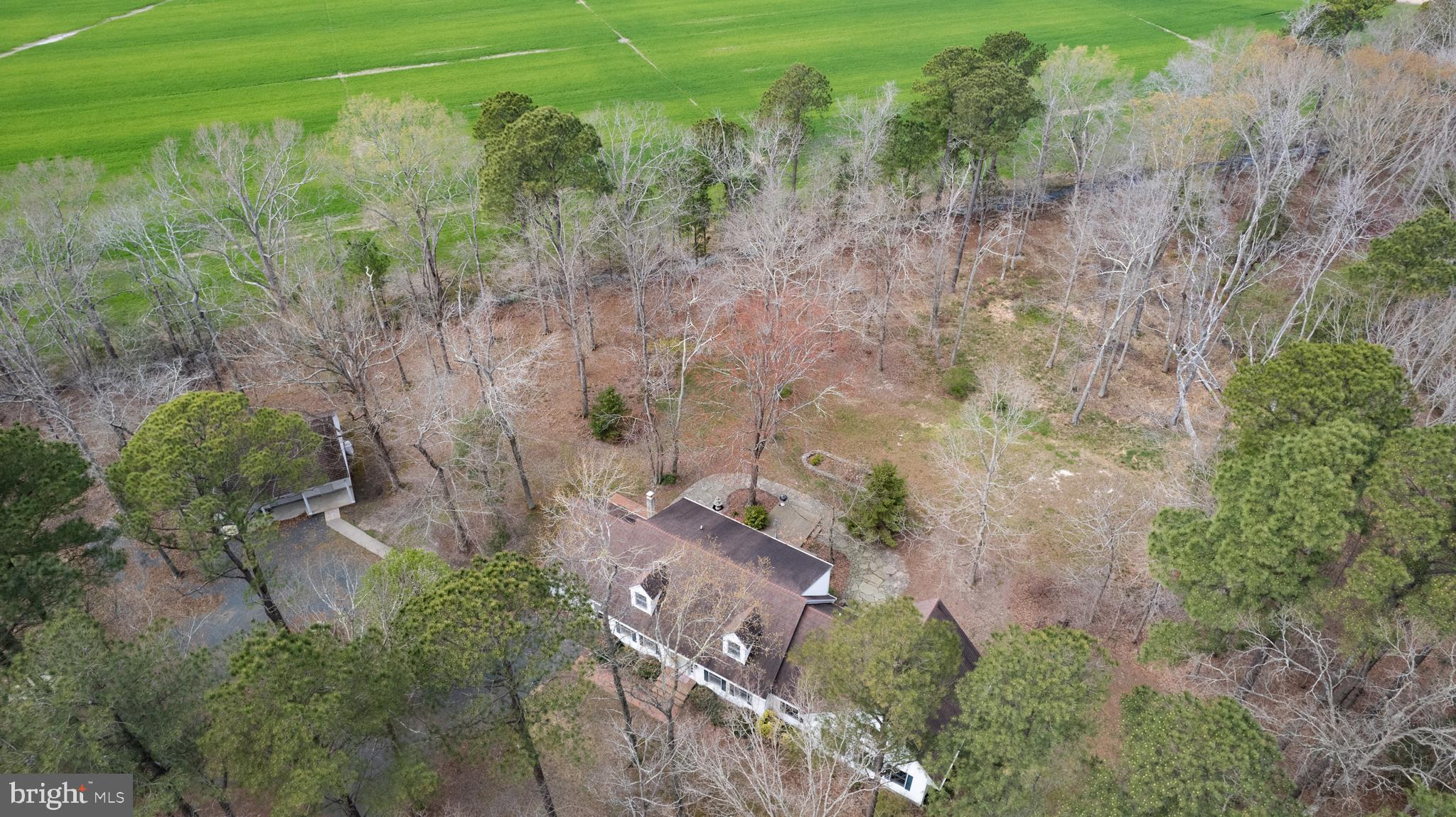 2136 Silver Goose Road Cambridge, MD 21613 - Photo 46 of 53 aerial view