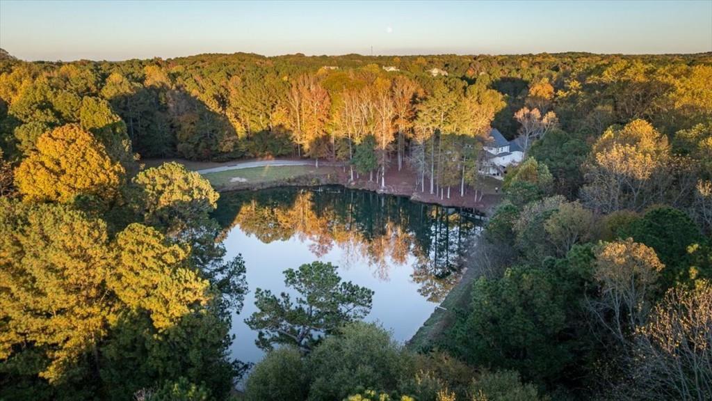 3055 Spring Hill Drive Monroe, GA 30656 - Photo 55 of 64 a view of a lake in middle of the forest