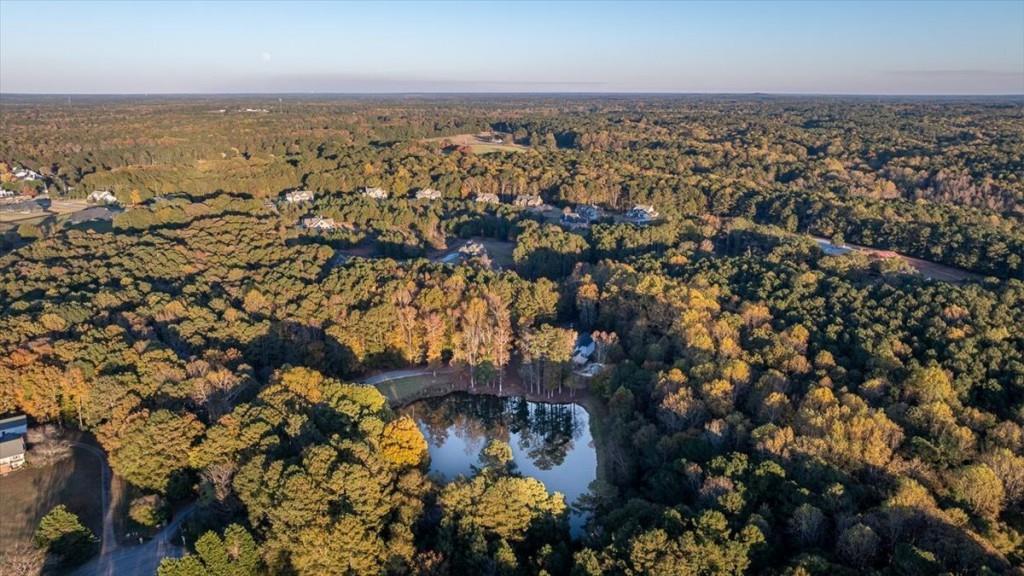 3055 Spring Hill Drive Monroe, GA 30656 - Photo 56 of 64 an aerial view of multiple house