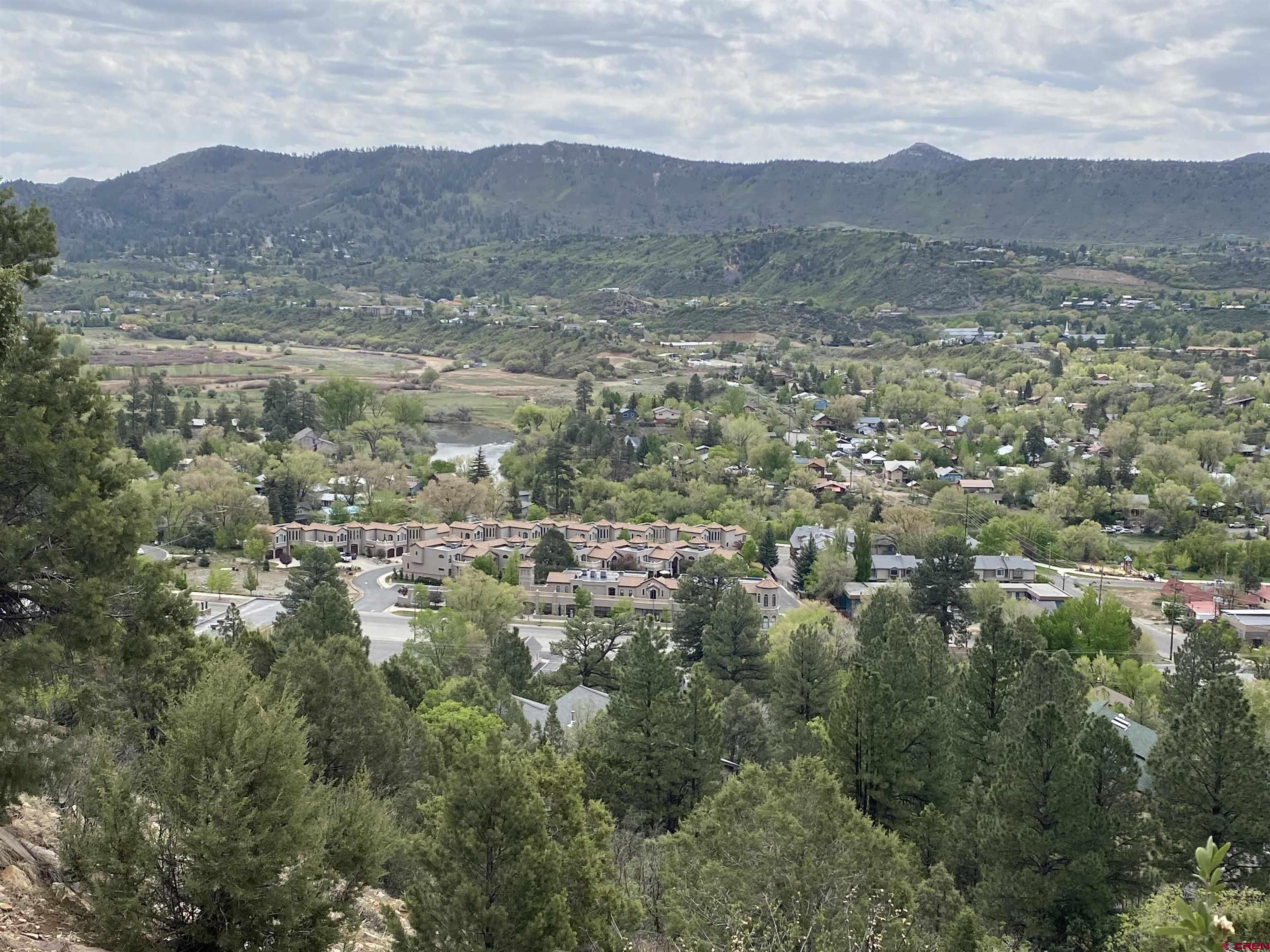 3416 Main Avenue, Unit 203 Durango, CO 81301 - Photo 32 of 34 an aerial view of houses covered in trees