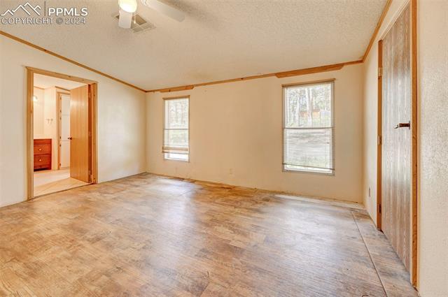 2259 Pathfinder Road Florissant, CO 80816 - Photo 22 of 33 Spare room featuring a textured ceiling, a healthy amount of sunlight, and ornamental molding