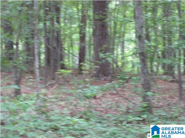 0 Timber Trail, Unit LOT 29 Sylacauga, AL 35151 - Photo 5 of 25
