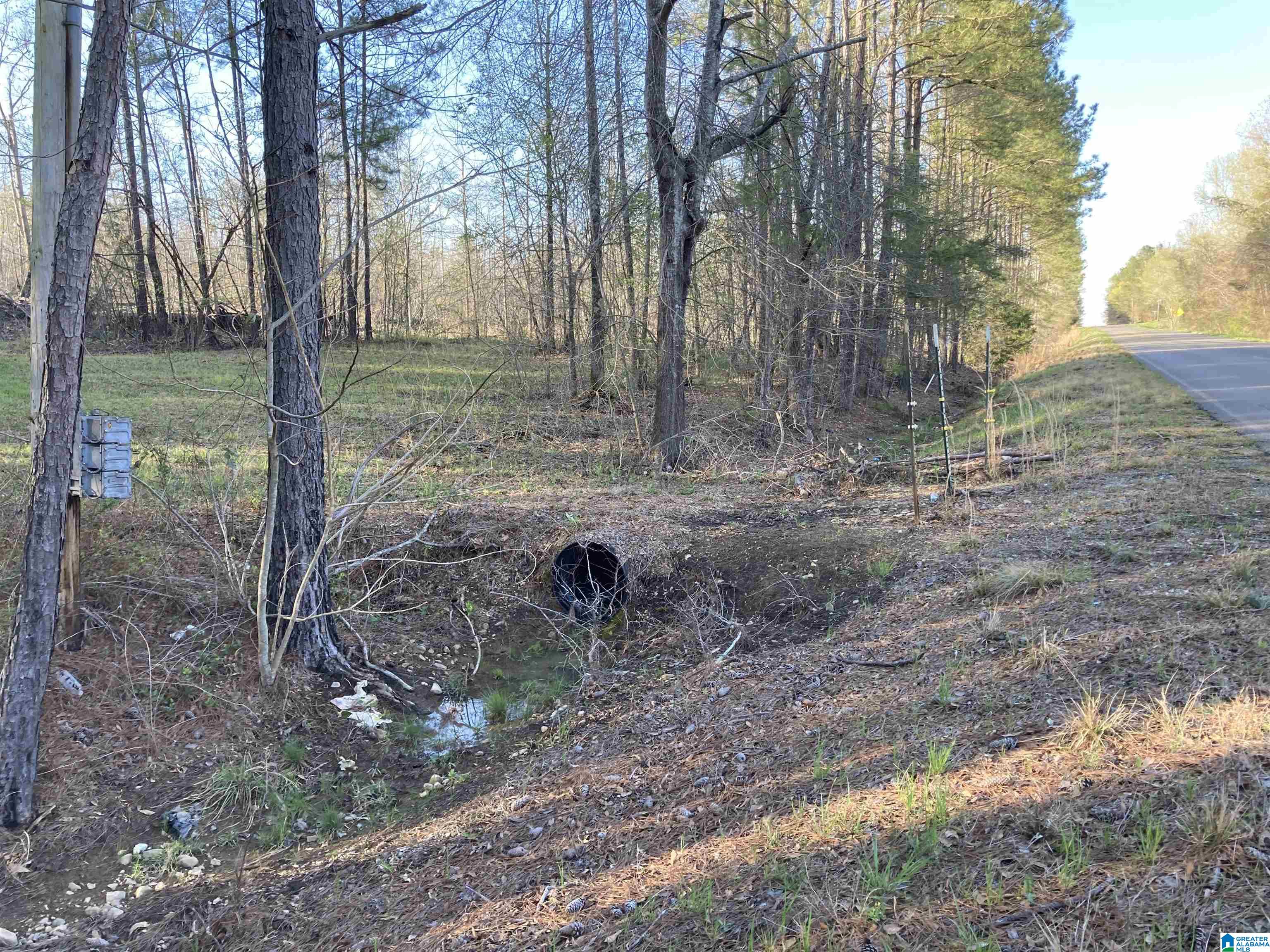 0 Jackson Trace Road, Unit 4 1 Talladega, AL 35160 - Photo 21 of 27